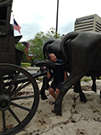 2015 Reunion Omaha Sculpture Park Tour - Photo by Randy Bundschuh